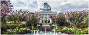 Lewis Ginter picture